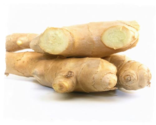 ginger-r
